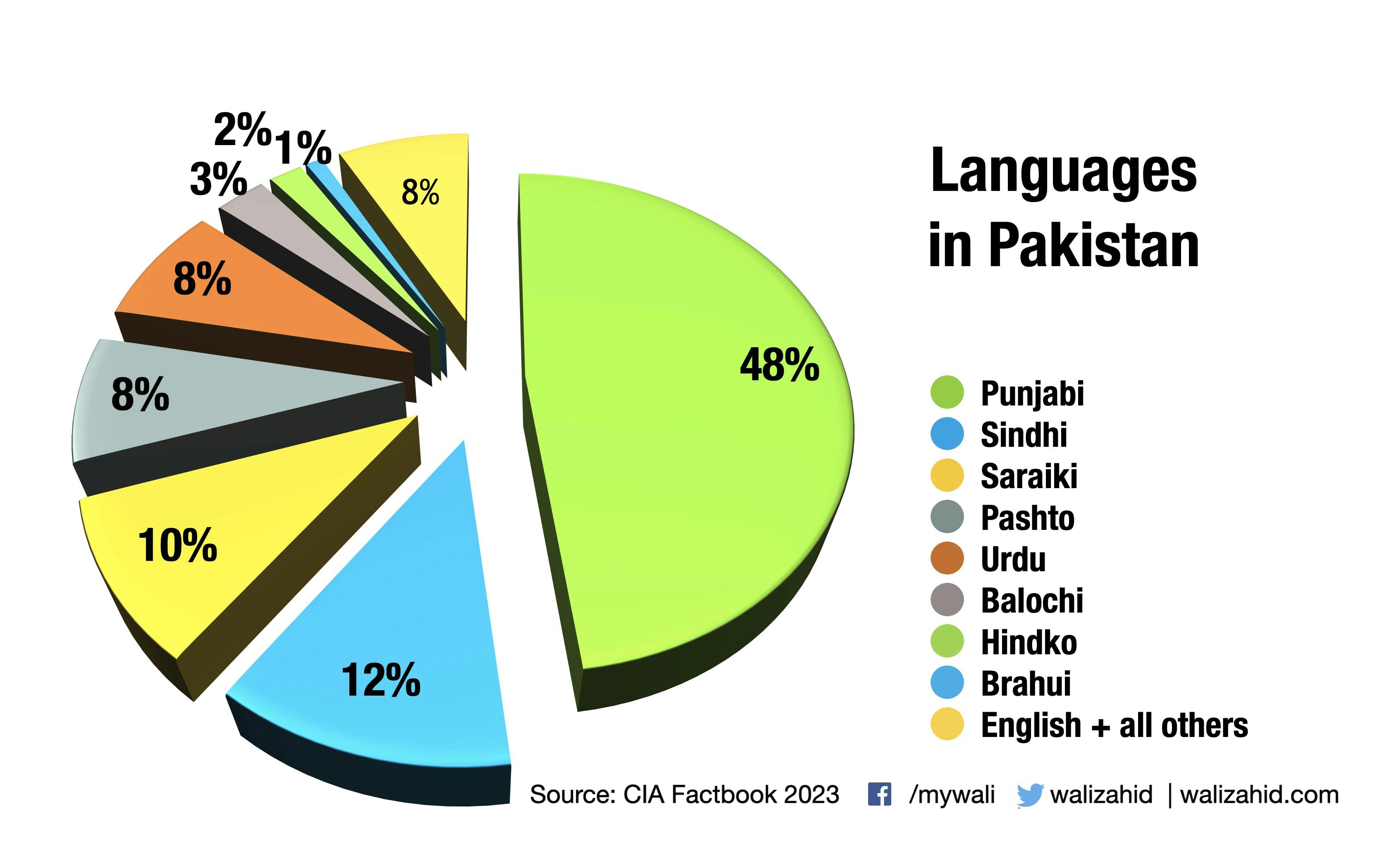 Native and first languages in Pakistan